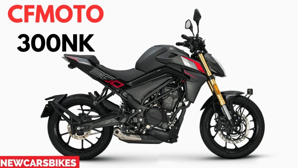 CFMoto 300NK